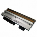 Citizen - 203 dpi - printhead - for Citizen CT-S4000